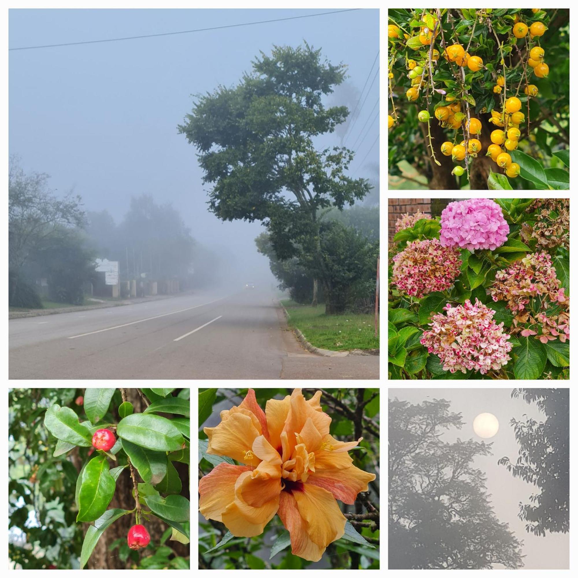 Mosswood Bed & Breakfast Граскоп Екстериор снимка